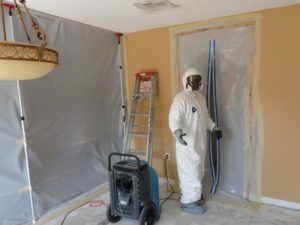 Mold Removal Containment