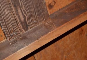 Mold or aging wood?