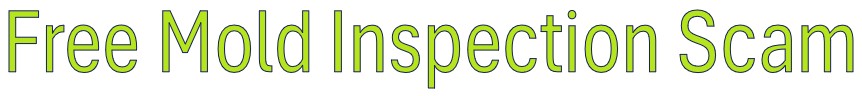 Free Mold Inspection Scam