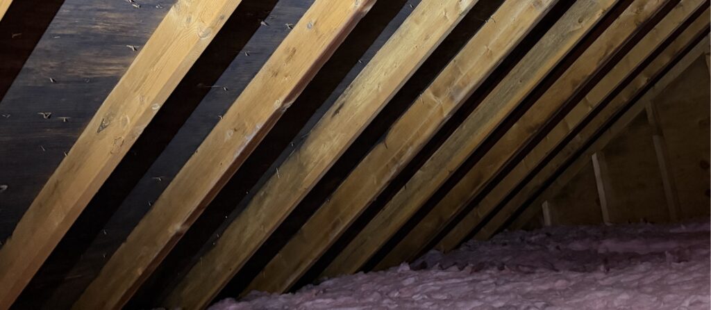 Attic Mold