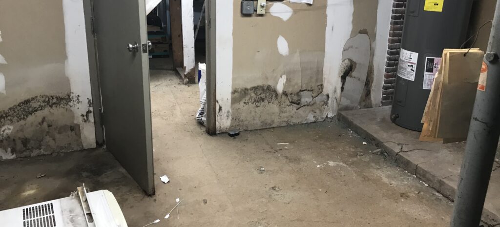 Mold Growth from Significant Water Damage